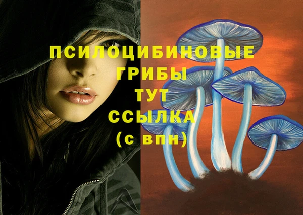 не бодяженный Алзамай