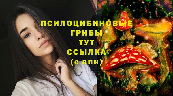 МДМА Алексеевка