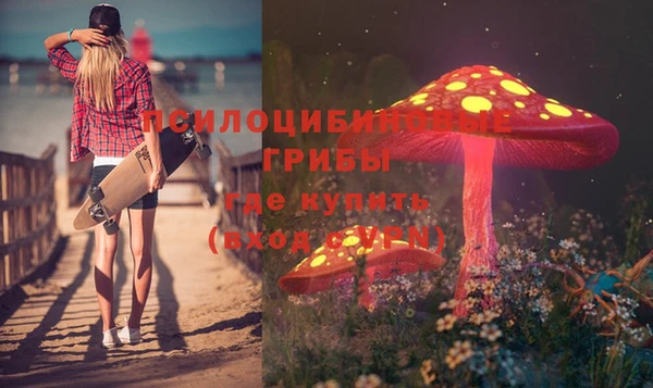 МДМА Алексеевка